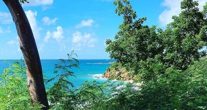 â© Amazing ocean view