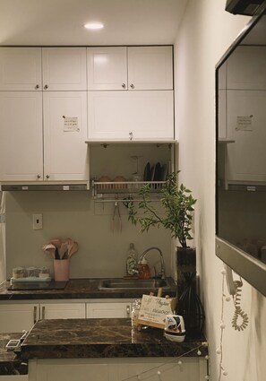 Kühlschrank, Herdplatte, Wasserkocher, Gewürze