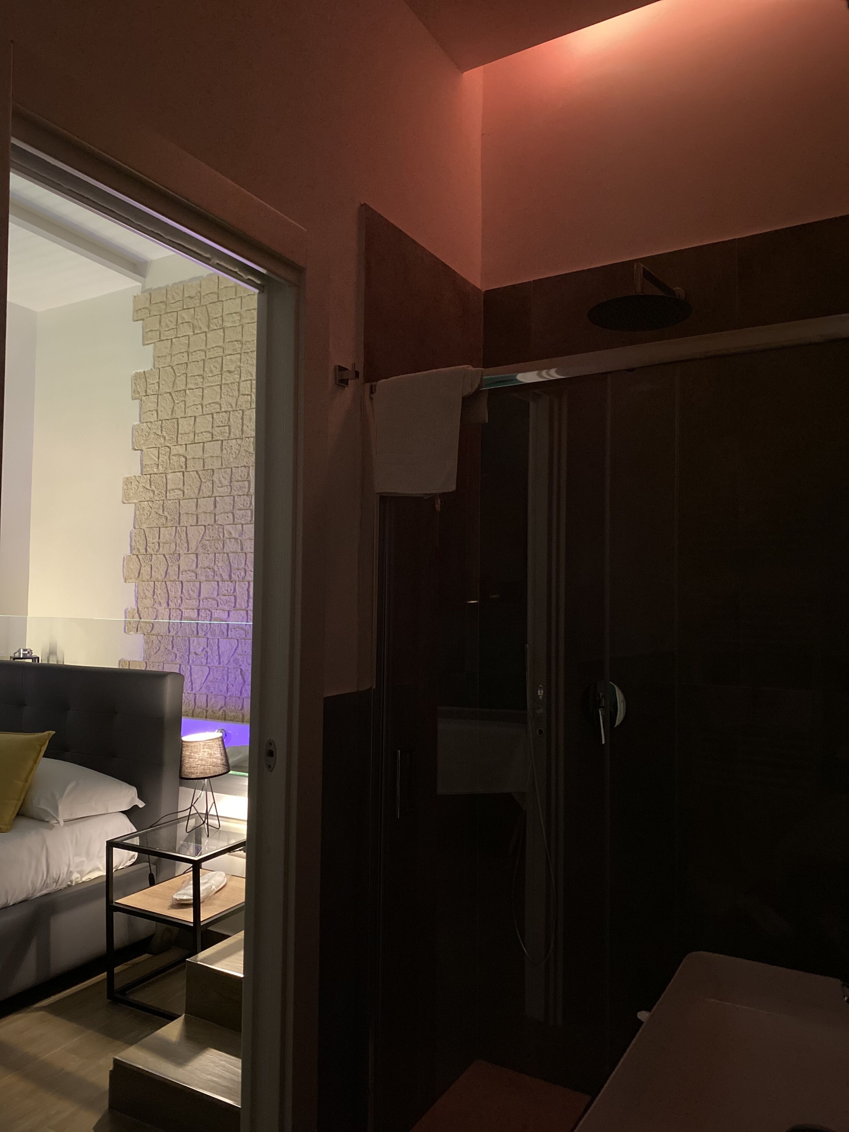 A modern bathroom with a glass shower enclosure, a towel rack, and a visible showerhead.
