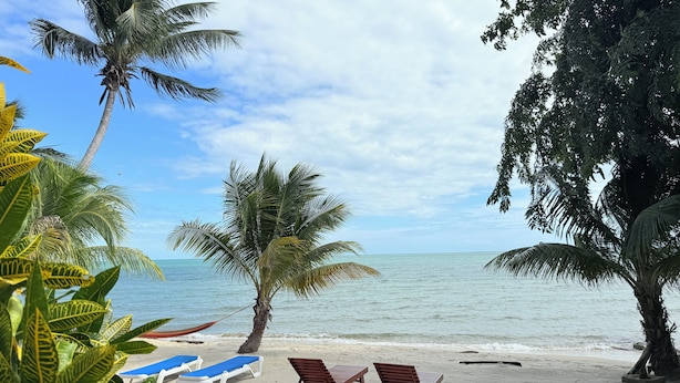 Een strand met palmbomen, een heldere lucht en twee houten ligstoelen.