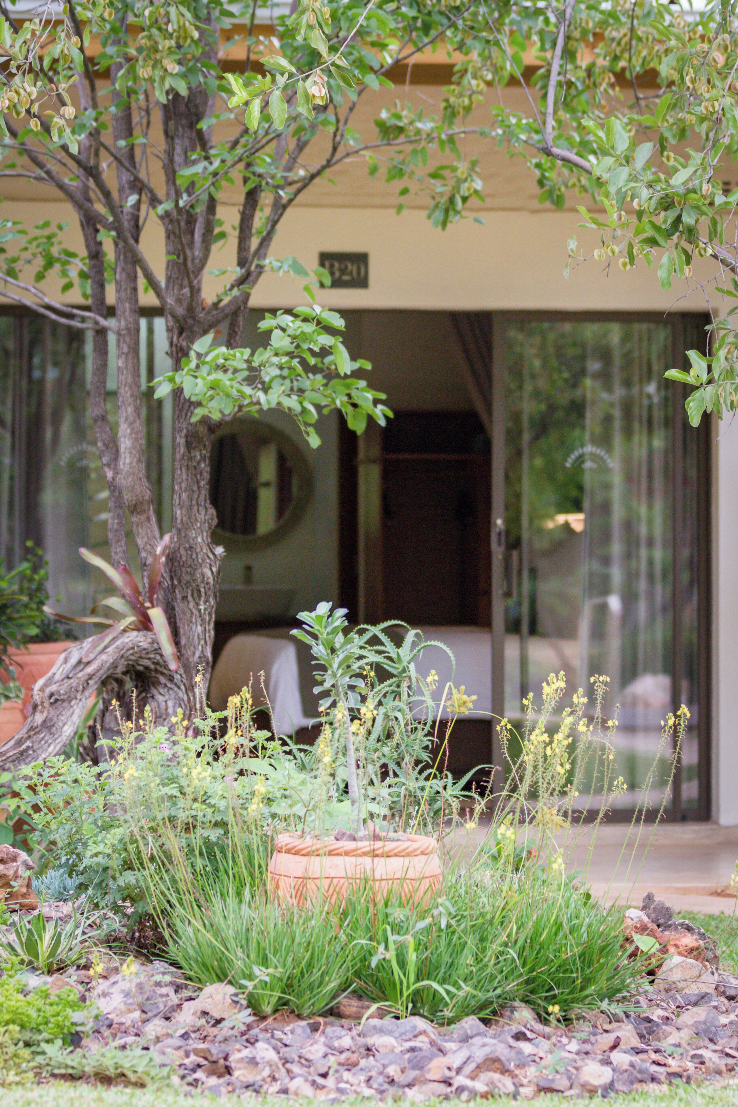 Luxury Double or Twin Room | View from room