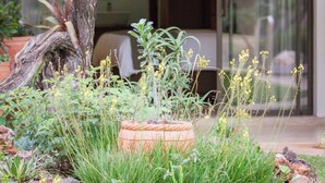 Un jardin avec un arbre, différentes plantes et un pot de fleurs placé devant un bâtiment doté d’une grande fenêtre et d’une porte.