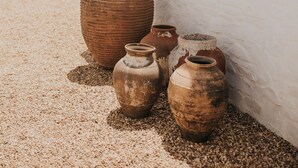 Une cour avec plusieurs grands pots en terre cuite et des plantes en pot, le tout adossé à un mur blanc.