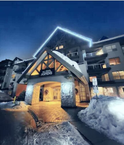 Aspens "Family Friendly" Ski In/Out Condo
 *new service options for this season!