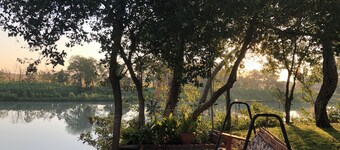 One of a Kind Vintage Lakefront Getaway on Lake Dunlap--W/D, fire pit, 4 tvs