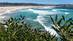 Una playa costera con olas, una orilla arenosa y edificios al fondo.