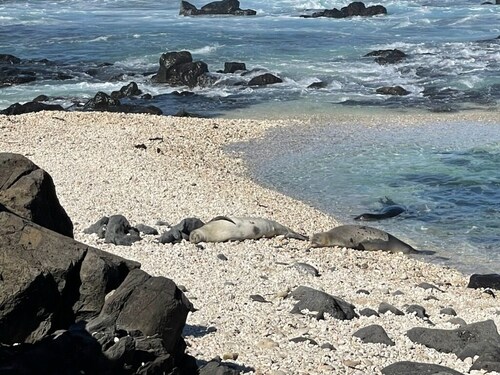 New Mountainside Cottage-Cottage-Eigenes Badezimmer-Bergblick