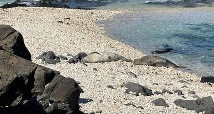 New Mountainside Cottage-Cottage-Eigenes Badezimmer-Bergblick