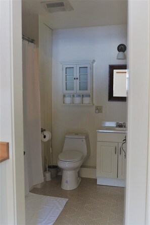 Combined shower/bathtub, hair dryer, towels, soap