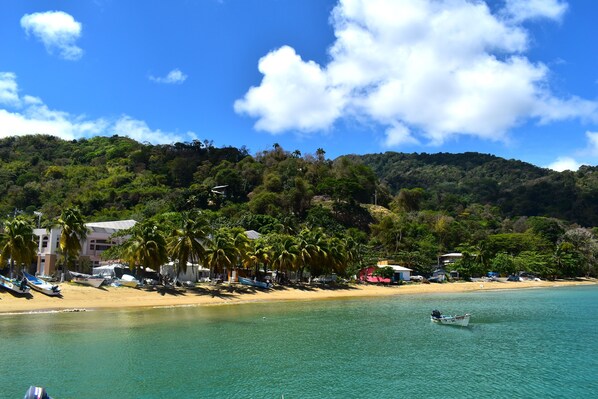 A beach with clear turquoise water, a sandy shore, and a backdrop of lush green hills. - CHOLSON CHALETS LIMITED (Charlotteville)