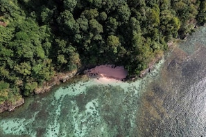 An aerial view of a coastal area with dense forest, clear shallow waters, and a sandy beach. - CHOLSON CHALETS LIMITED (Charlotteville)