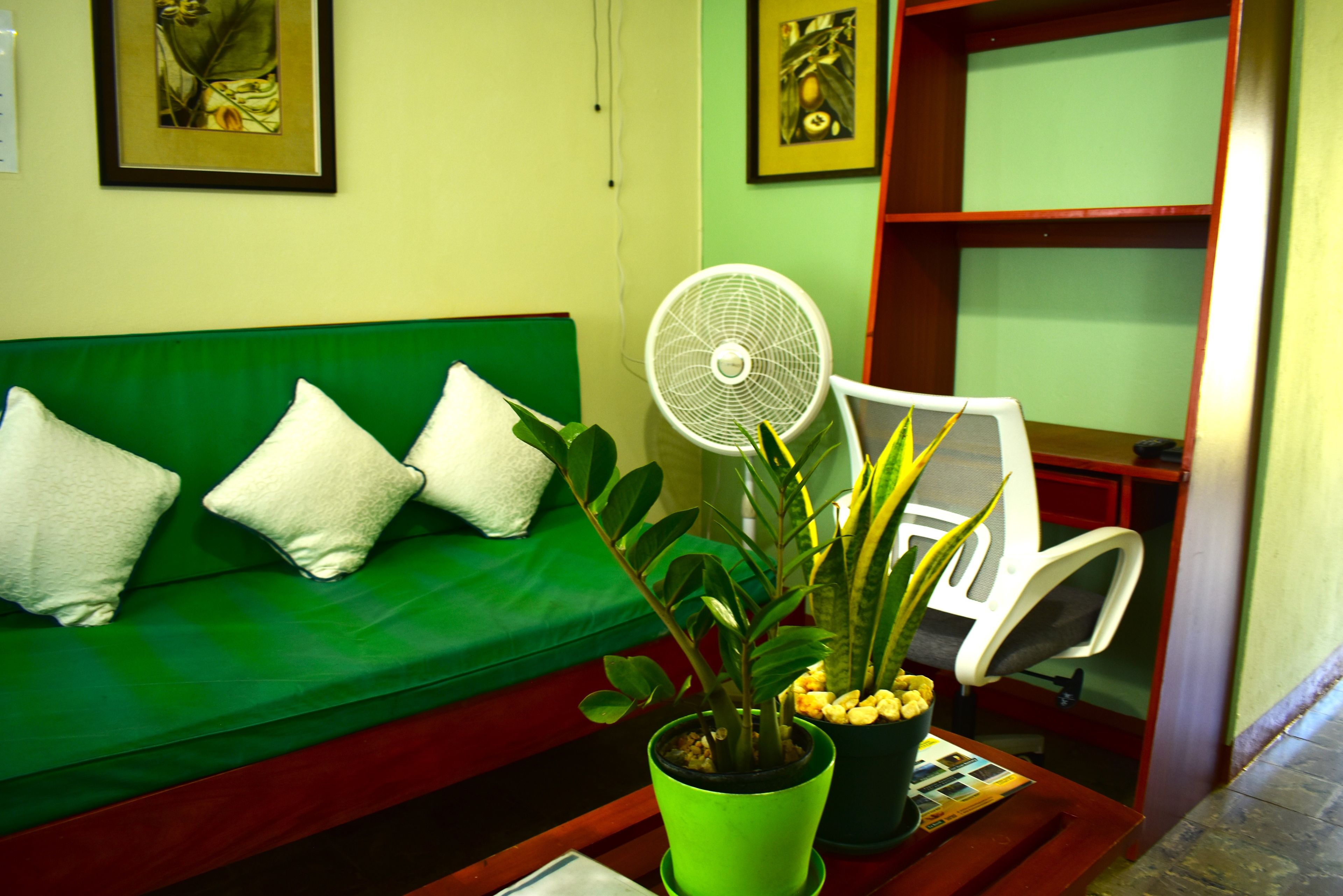 A green sofa with white cushions, a white chair, a green potted plant, and a white fan on a wooden table.
