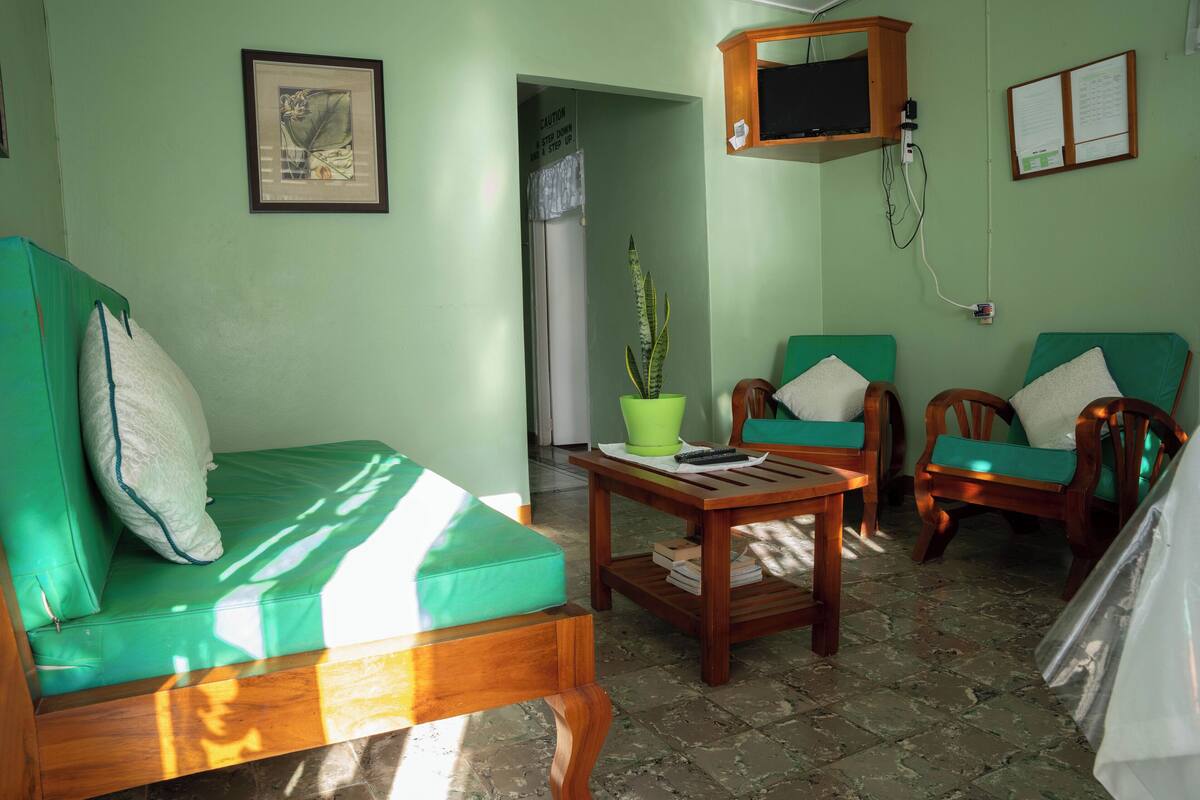 A room with a green sofa, two wooden chairs, a small table, and a potted plant.