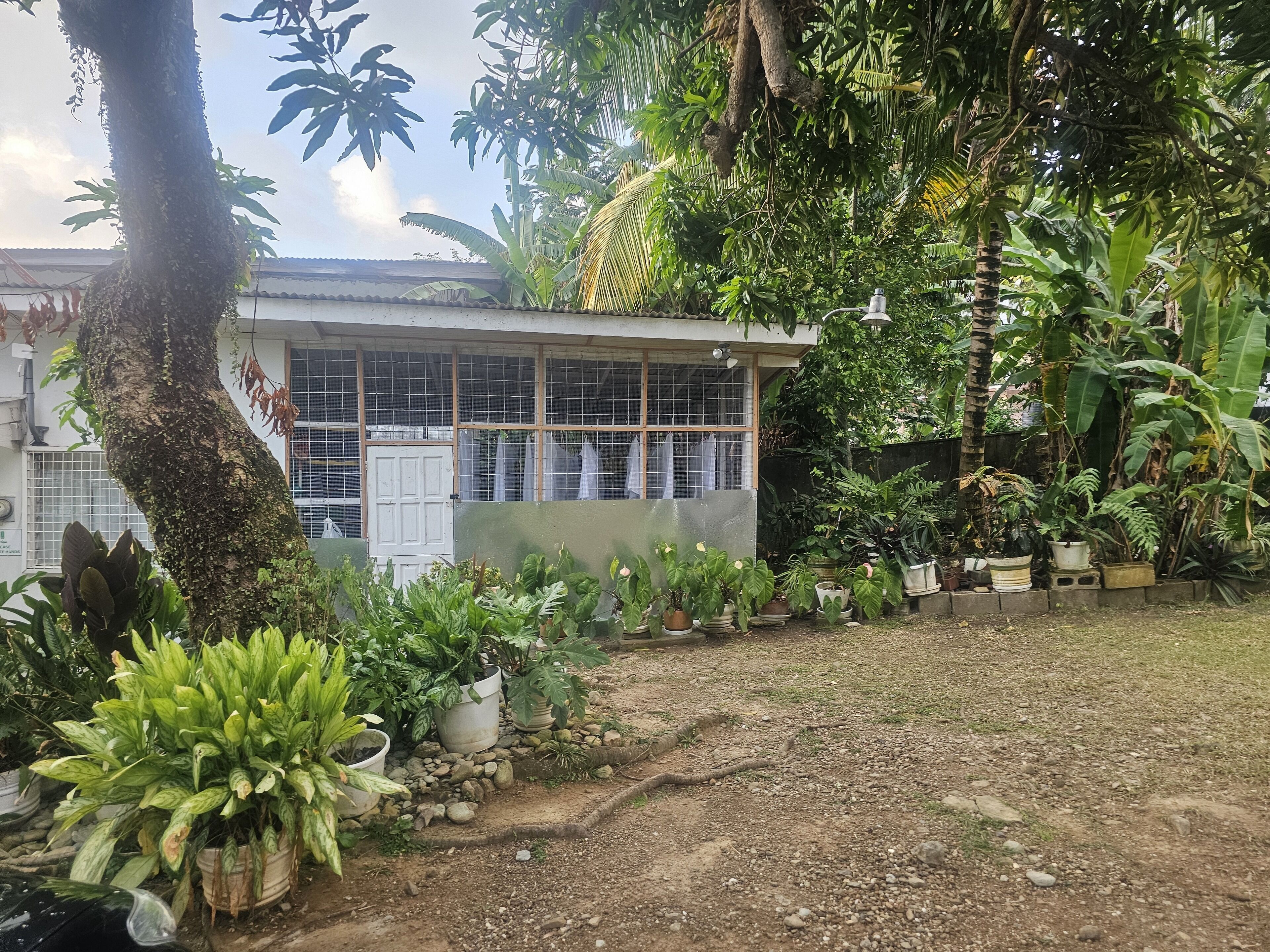 Ein Haus mit Garten, umgeben von verschiedenen Pflanzen und Bäumen.