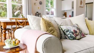 TV connectée, cheminée, livres, chaßne hi-fi