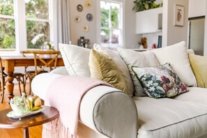 TV connectée, cheminée, livres, chaßne hi-fi