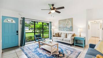 Smart TV, fireplace, books