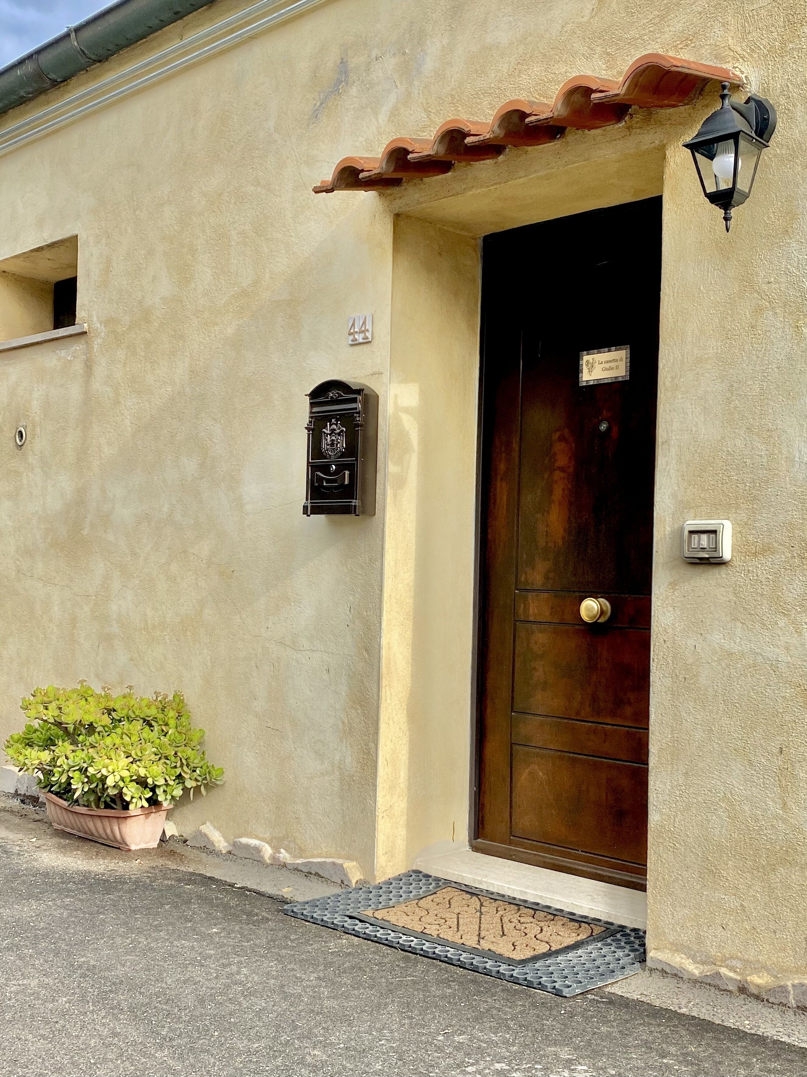 A building with a dark brown door, a mailbox, and a potted plant by the entrance.