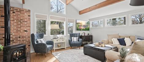 Smart TV, chimenea y libros