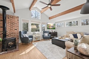 Smart TV, fireplace, books