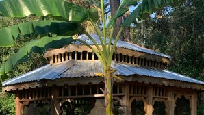 A wooden gazebo with a metal roof, surrounded by grass and a banana tree. - Nature Coast Inn and Cottages (Inglis)