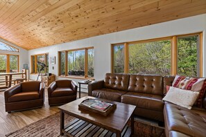 TV connectée, cheminée, lecteur de DVD, livres