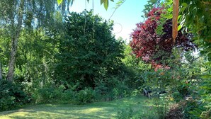 Un jardín exuberante con follaje denso y una gran variedad de plantas.