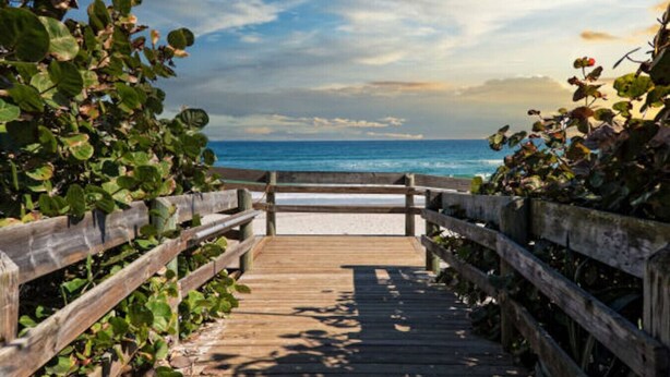 Une promenade en bois qui mène à une plage offrant une vue dégagée sur l’océan.