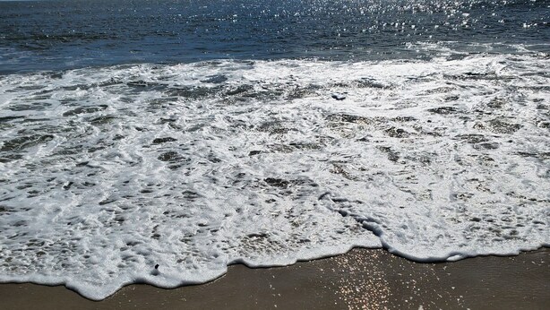 Una playa con olas rompiendo sobre la orilla bajo un cielo despejado.
