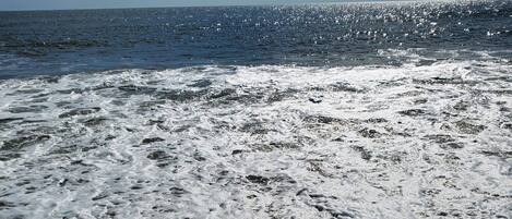 Plage à proximité, serviettes de plage