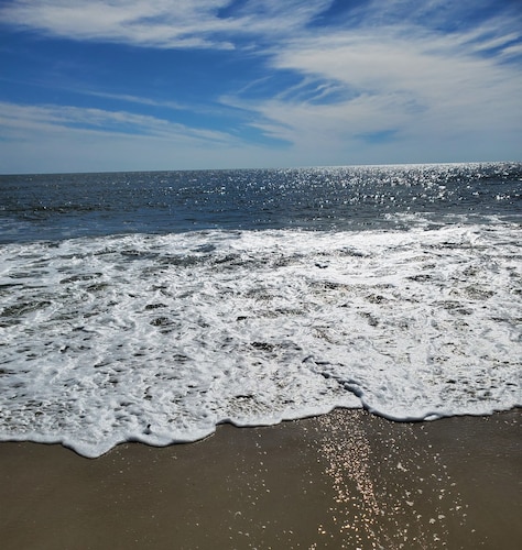 Private condo 5 minute walk Beach, Boardwalk, Convention Center, Fox Park & Food