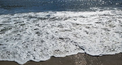 Private condo 5 minute walk Beach, Boardwalk, Convention Center, Fox Park & Food