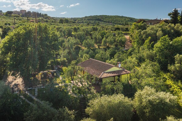 A house surrounded by dense greenery, with a visible path leading to it. - La Casina, a private villa with air conditioning in the Val di Chiana (Farnetella)