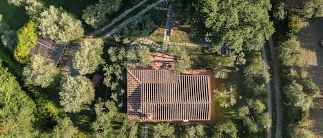 Esterni