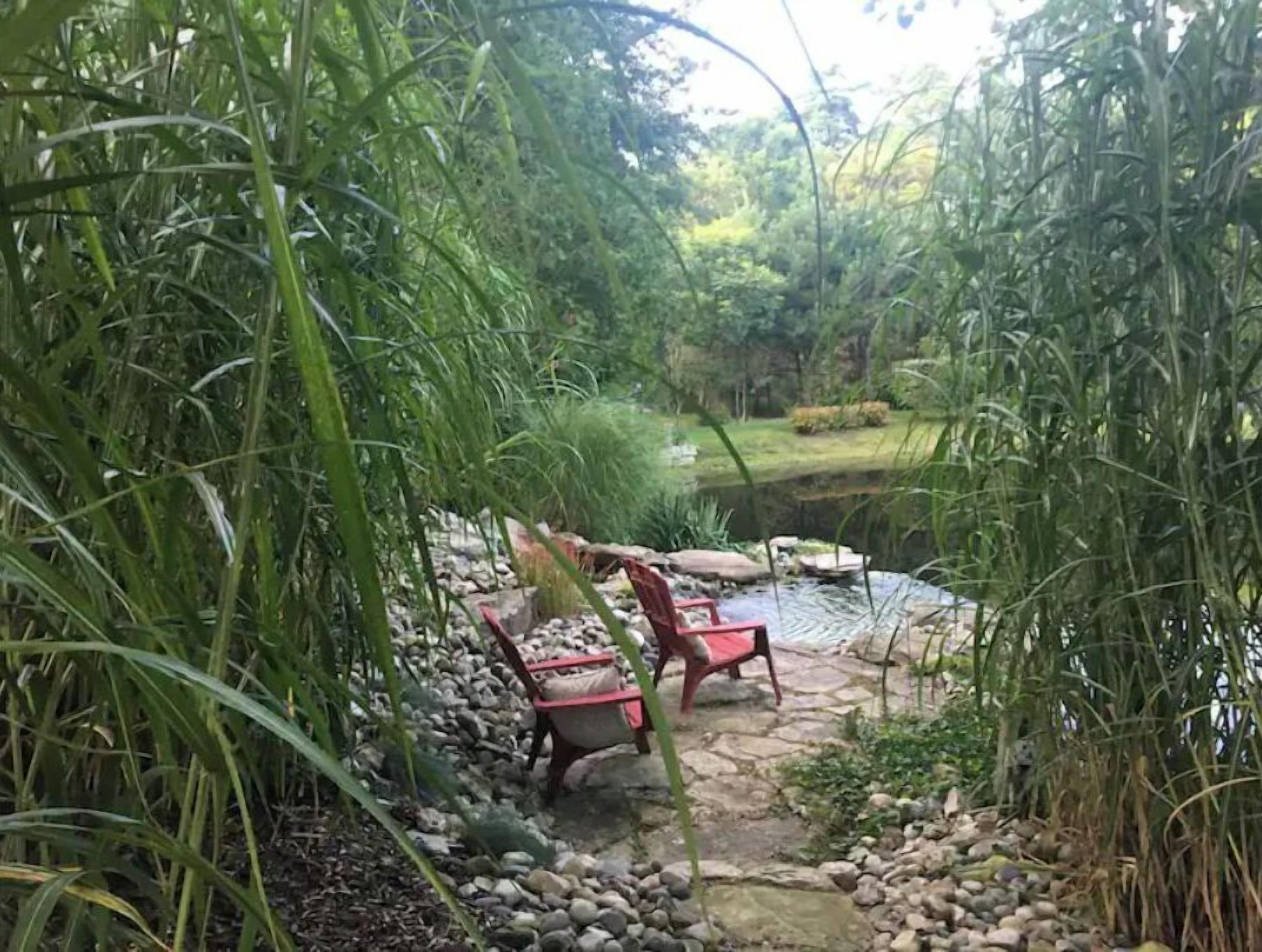 Àrea exterior de l'allotjament