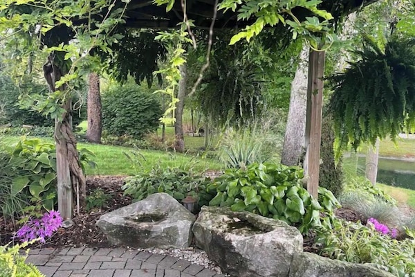 Àrea exterior de l'allotjament