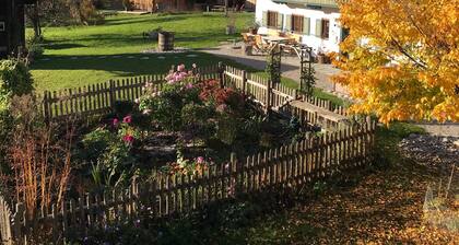 Chalet Hollerhäusl, whole house, 50 sqm for 2-4 persons, living area with kitchenette and gallery