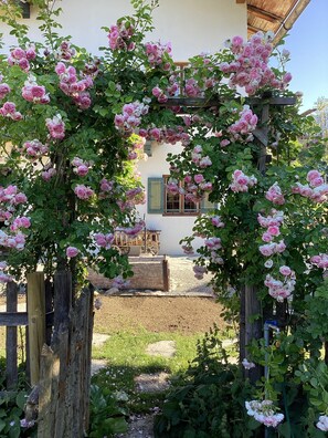 Property grounds - Chalet Hollerhäusl, whole house, 50 sqm for 2-4 persons, living area with kitchenette and gallery (Unterwössen)