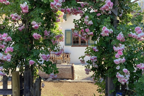 Lohei - Chalets im Chiemgau (DE Unterwössen) - Rath-Kerscher Andrea - 5870-Rosenbogen am Lohei-Bauerngarten