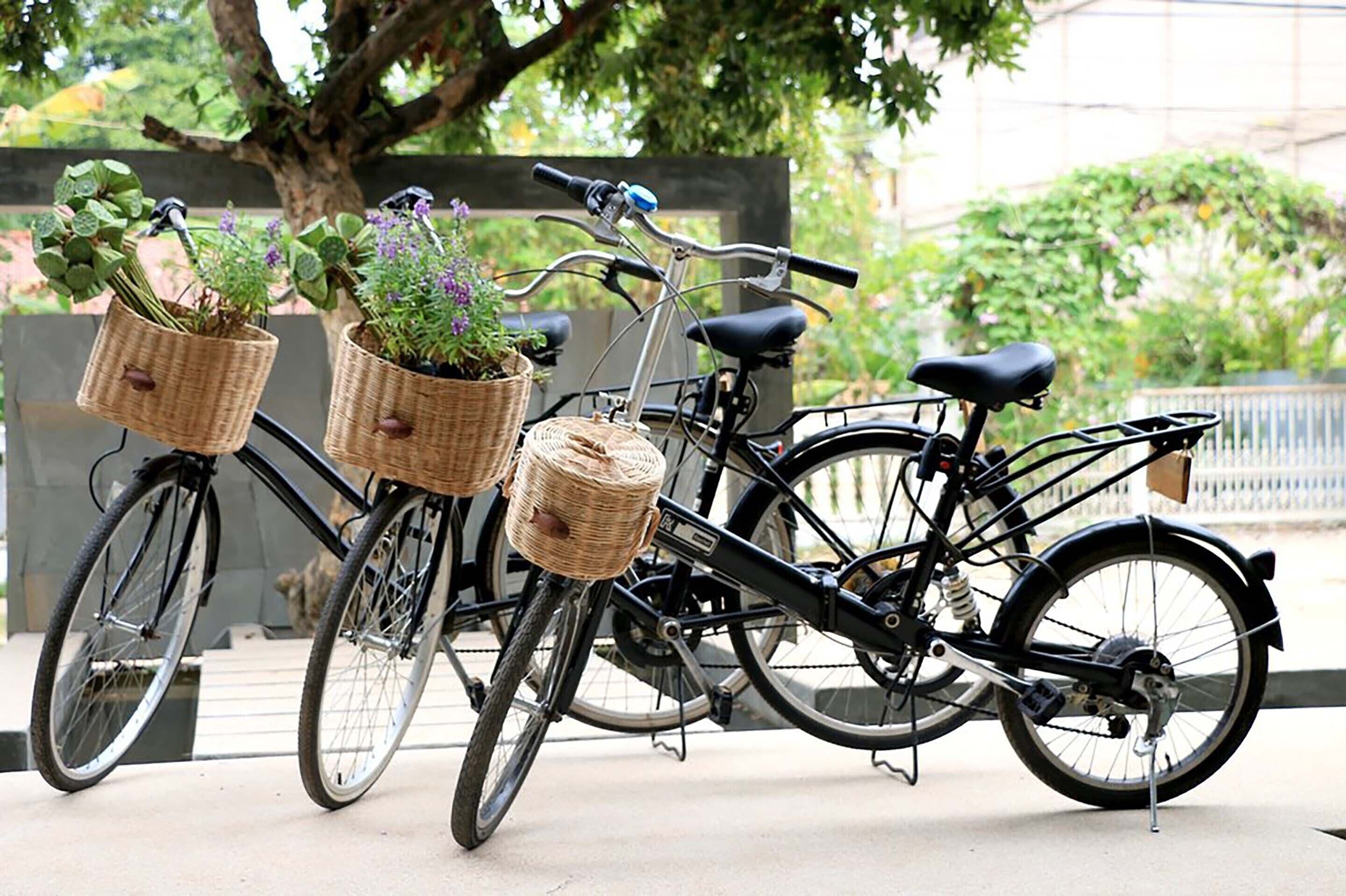 Two bicycles with wicker baskets containing plants, parked on a concrete surface.