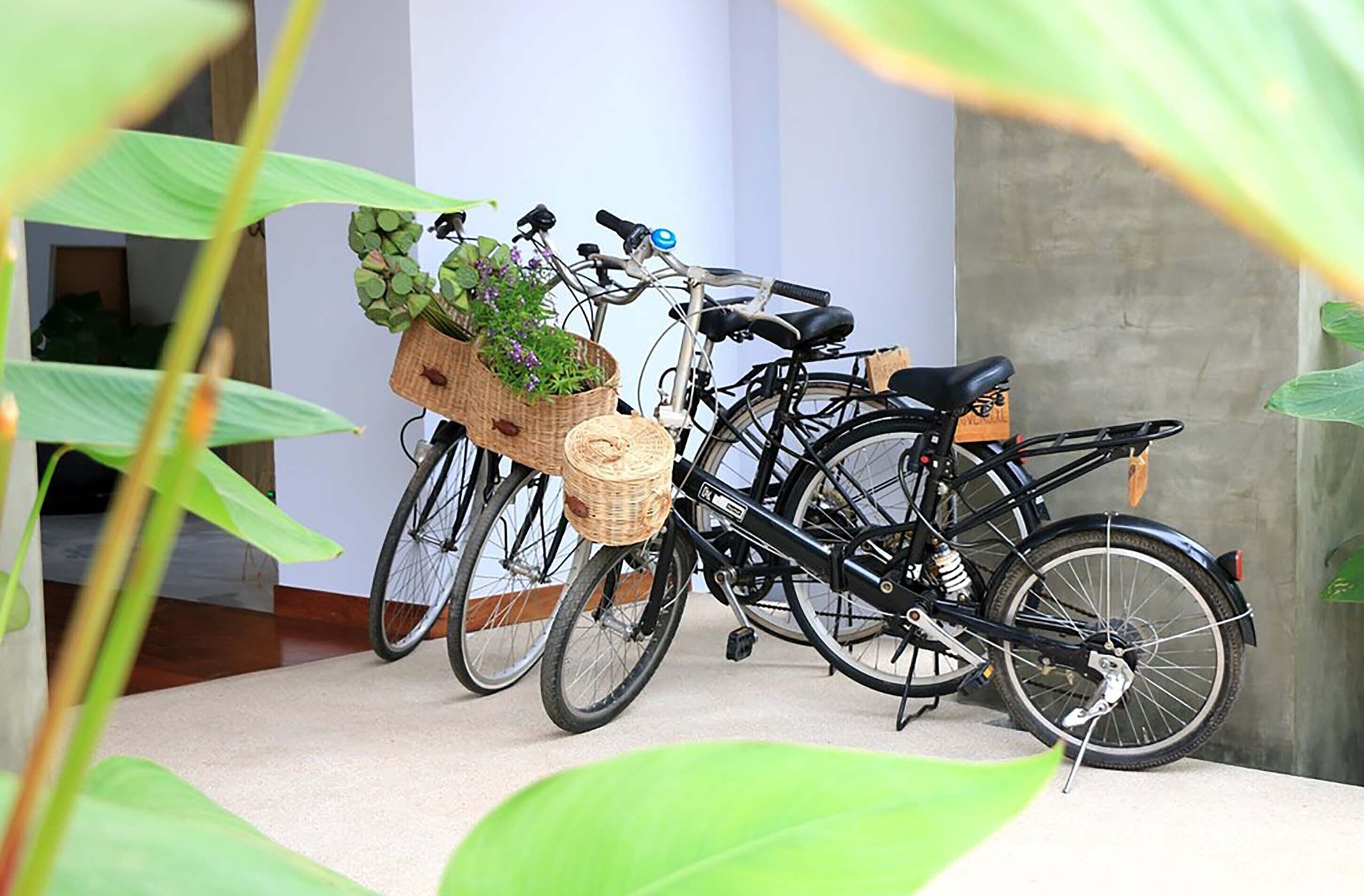 Una bicicleta amb un cistell i una planta, aparcada a l'interior amb una paret de formigó i una porta de fusta al fons.