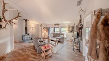 TV, fireplace, offices