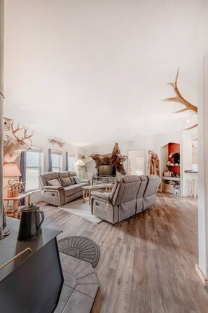 TV, fireplace, offices