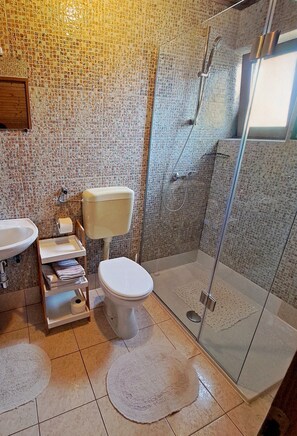 Shower, hair dryer