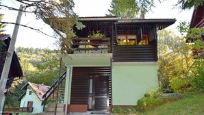 Exterior - Holiday home Zdenko, (16584), Hajdine, hr (Hajdine)