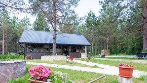 Property grounds - Rooms Željko, (16411), Rudanovac, hr (Rudanovac)