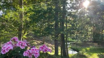 Cabin, 1 King Bed | Property grounds