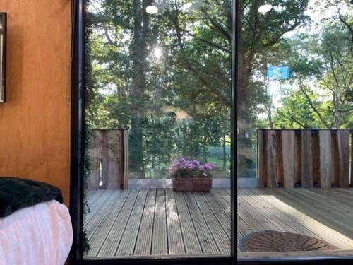 Luxury Cabin in the Woods