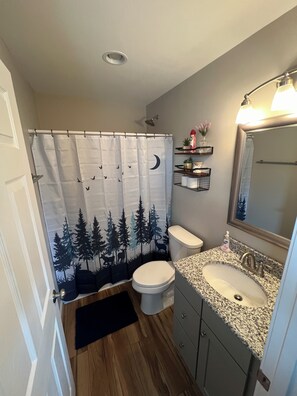 Combined shower/bathtub, hair dryer, towels, toilet paper