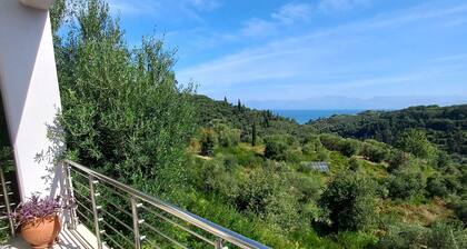 Oasis of well-being in the midst of ater olive and cypress trees